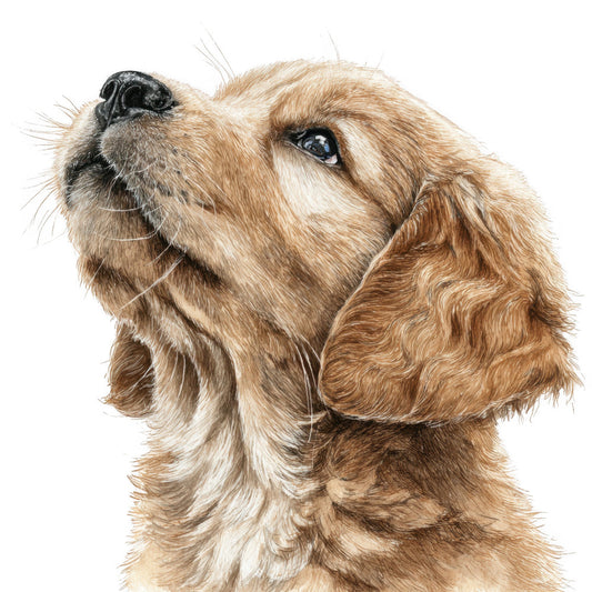 dog portrait, cocker spaniel, tan dog, brown dog, cream colored, beige, golden brown, animal portrait, dog lover, pet fabric, realistic dog, dog face, puppy, sporting dog, nature themed, animal themed, dog breed, portrait style, lifelike, detailed illustration, whimsical, cute animals, pet themed, dog enthusiast, animals, looking up, sweet expression, dog art, traditional style, home decor