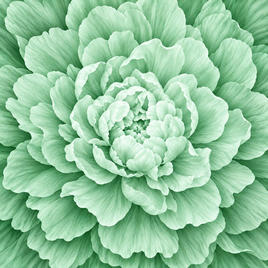 mint green, sage green, pale green, seafoam green, light green, white, cream, peony, dahlia, flower, floral, layered petals, botanical, nature, elegant, romantic, sophisticated, spring, garden, botanical illustration, double flower, full bloom, delicate, soft, pastel, monochromatic, nature-inspired, home decor, wall art, traditional