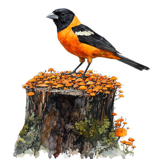 orange, black, white, bird, baltimore oriole, mushrooms, tree stump, moss, nature scene, wildlife, fabric panel, watercolor style, autumn colors, forest, songbird, botanical, orange fungi, realistic illustration, quilting panel, nature art