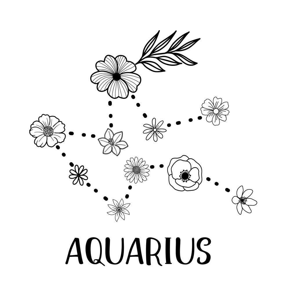 black and white, line drawing, floral, flowers, botanical, nature, zodiac, astrology, aquarius, constellation, minimalist, modern, elegant, simple line art, daisy, poppy, stars, dotted lines, celestial, whimsical, spring, summer, wall hanging, home decor, monochromatic, sketch style, delicate, artistic