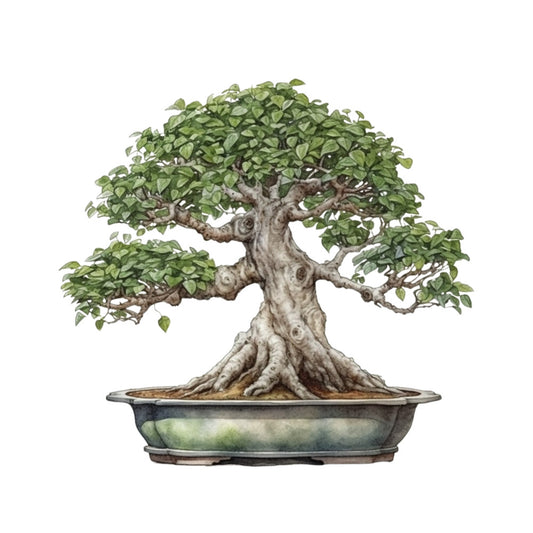 bonsai tree, fabric panel, green foliage, brown trunk, ceramic pot, botanical illustration, nature design, miniature tree, zen garden, asian inspired, watercolor style, earthy tones, olive green, sage green, brown bark, twisted branches, root system, serene mood, quilting cotton, craft panel