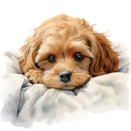 Cute Cavapoos Fabric Panel 45