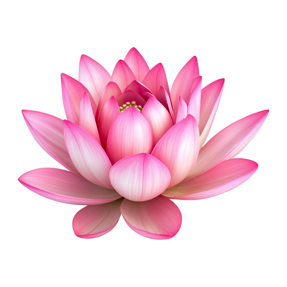 hot pink, coral pink, magenta, light pink, pastel pink, lotus flower, water lily, floral, botanical, nature, spring, summer, elegant, zen, peaceful, spiritual, asian-inspired, mandala-adjacent, blooming flower, centerpiece flower, large-scale floral, single flower, photorealistic, gradient pink, ombre pink, wall hanging, art panel, decorative panel, nature lover, garden inspired