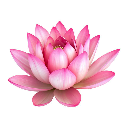 hot pink, coral pink, magenta, light pink, pastel pink, lotus flower, water lily, floral, botanical, nature, spring, summer, elegant, zen, peaceful, spiritual, asian-inspired, mandala-adjacent, blooming flower, centerpiece flower, large-scale floral, single flower, photorealistic, gradient pink, ombre pink, wall hanging, art panel, decorative panel, nature lover, garden inspired