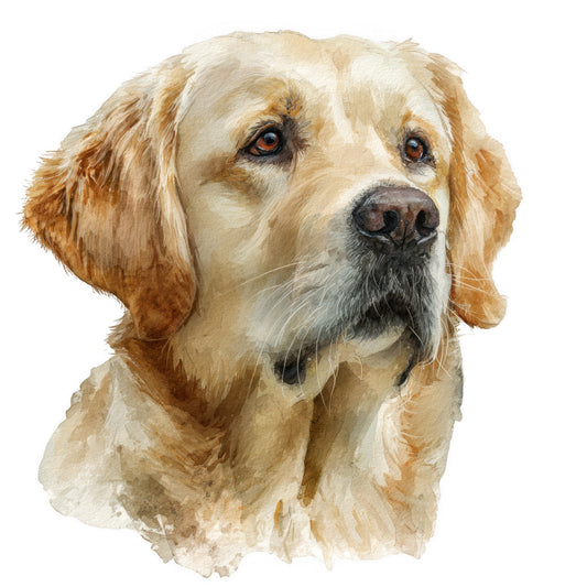 golden retriever, dog portrait, realistic dog, pet lover, animal illustration, dog breed, sporting dog, cream, tan, beige, golden brown, warm neutral, watercolor style, detailed portrait, dog face, canine, nature themed, pet themed, traditional, elegant, detailed illustration, dog art, animal art, home decor, wall hanging, pet memorial, dog lover gift, realistic animal, portrait style
