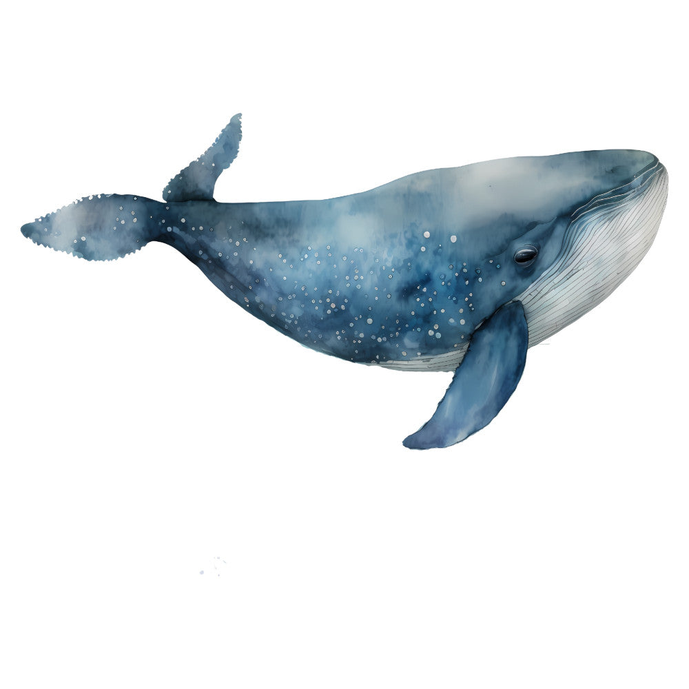 whale, ocean, marine life, nautical, sea creatures, whales, underwater, aquatic, navy blue, slate blue, steel blue, gray blue, white belly, ocean animals, coastal, sea life, nature, wildlife, realistic illustration, watercolor style, ocean theme, beach decor, children's, kids, baby, whimsical, peaceful, serene, coastal living, ocean nursery