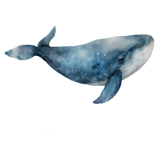 whale, ocean, marine life, nautical, sea creatures, whales, underwater, aquatic, navy blue, slate blue, steel blue, gray blue, white belly, ocean animals, coastal, sea life, nature, wildlife, realistic illustration, watercolor style, ocean theme, beach decor, children's, kids, baby, whimsical, peaceful, serene, coastal living, ocean nursery