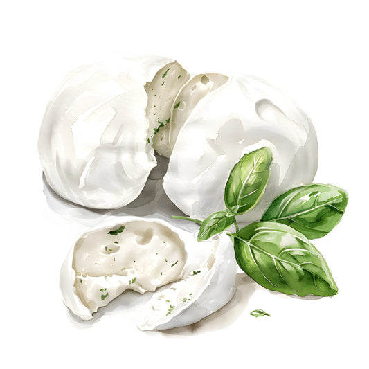 white, cream, pale green, sage green, fresh herbs, mozzarella, cheese, basil, food illustration, culinary, kitchen, gourmet, modern, elegant, botanical, nature inspired, food art, farmhouse, rustic, spring, summer, garden fresh, italian, mediterranean, watercolor, painted, artistic, sophisticated, upscale