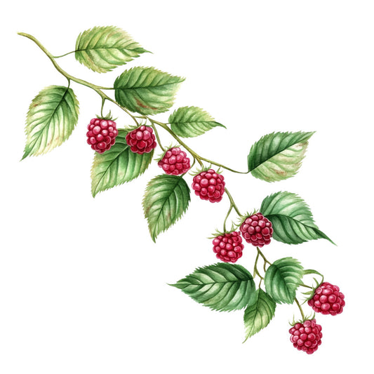 Raspberry Gardens Fabric Panel 6