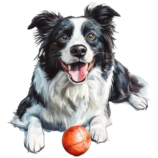 watercolor, border collie, dog portrait, black and white, orange ball, realistic painting, pet illustration, fabric panel, quilting cotton, animal design, playful mood, tongue out, brown eyes, fluffy fur, sitting pose, bright colors, detailed artwork, canine theme, craft fabric, sewing panel