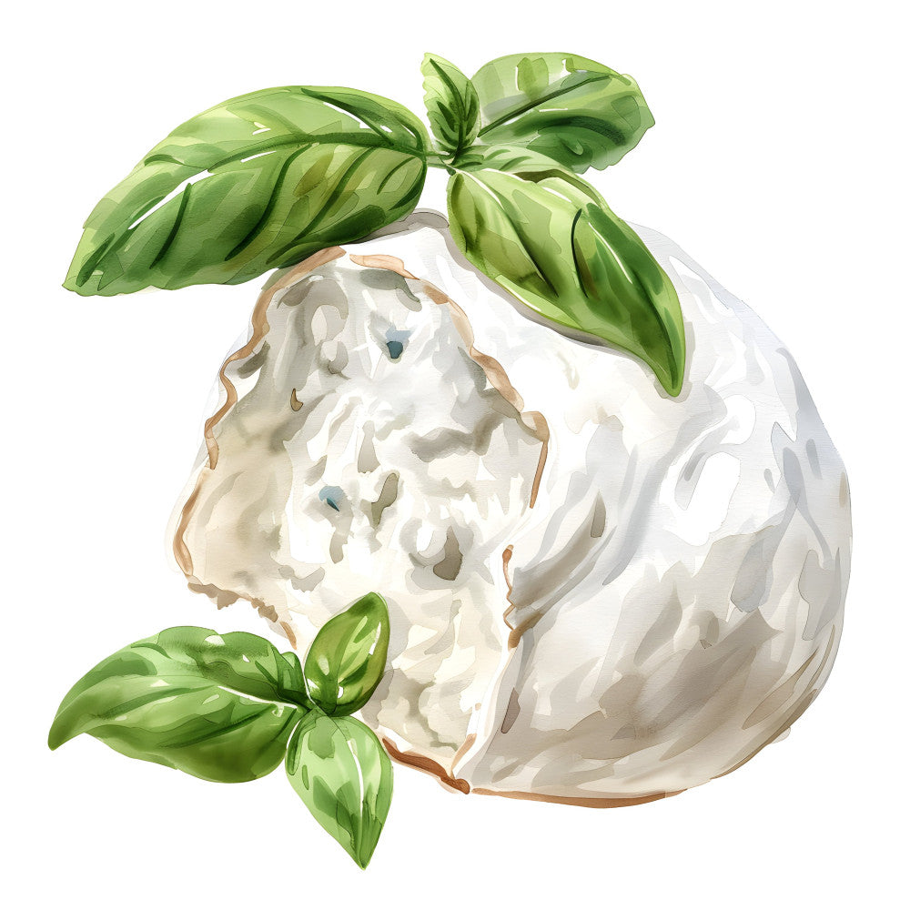 fresh basil, cream white, light green, sage green, botanical, nature, food, culinary, herbs, leaves, natural, rustic, organic, farm fresh, cottage, artisan, kitchen, harvest, summer, spring, elegant, whimsical, watercolor, illustration, minimalist, farmhouse, garden, produce, fresh herbs