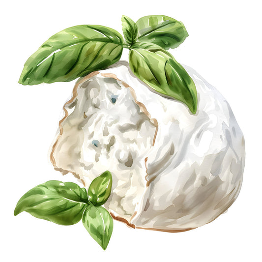 fresh basil, cream white, light green, sage green, botanical, nature, food, culinary, herbs, leaves, natural, rustic, organic, farm fresh, cottage, artisan, kitchen, harvest, summer, spring, elegant, whimsical, watercolor, illustration, minimalist, farmhouse, garden, produce, fresh herbs