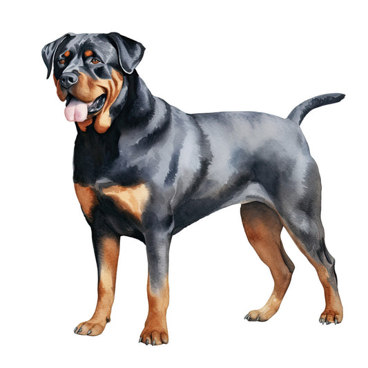 Watercolor Rottweiler Fabric Panel 24 featuring a detailed, vibrant illustration of a standing Rottweiler dog on white background.