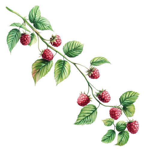 Raspberry Gardens Fabric Panel 5