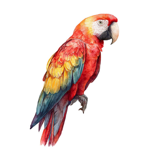 macaw, parrot, tropical bird, red, golden yellow, turquoise blue, white, navy blue, coral red, vibrant colors, wildlife, nature, bird illustration, realistic, botanical, exotic, colorful, feathered, tropical theme, rainforest, wildlife art, detailed illustration, animal portrait, naturalistic style, elegant, decorative, wall hanging, home decor, art panel, nature lovers