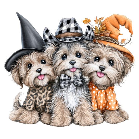 cute dogs, small dog breeds, shih tzu, maltese, fluffy puppies, dog faces, whimsical, playful, autumn, fall, orange, cream, tan, beige, black, white, gingham plaid, polka dots, leopard print, checkered pattern, witch hats, fall leaves, bow ties, holiday, halloween, festive, children's, kids, animal lovers, pet themed