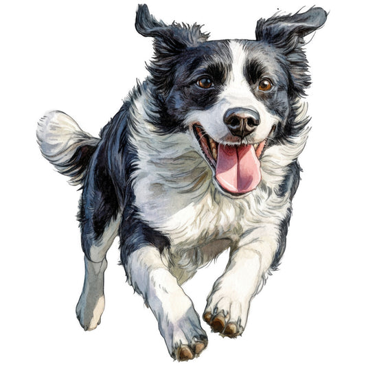 watercolor, border collie, dog, black and white, running dog, realistic portrait, pet illustration, fabric panel, quilting cotton, animal art, motion capture, pink tongue, brown eyes, fur texture, white background, painterly style, dog lover, canine design, artistic rendering, flowing movement