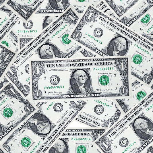One Dollar Bill Pattern 1 Quilting Cotton Fabric