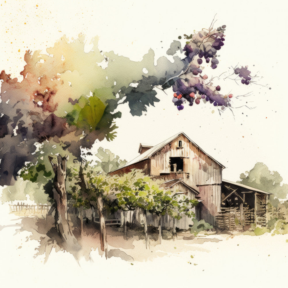 watercolor, vineyard, grapes, barn, farmhouse, rustic, countryside, vintage, nature, botanical, berries, grapevine, harvest, autumn, fall, earthy tones, muted colors, sage green, dusty purple, warm beige, cream, brown, burgundy, watercolor art, impressionist, garden, rural, cottage, nostalgic, peaceful