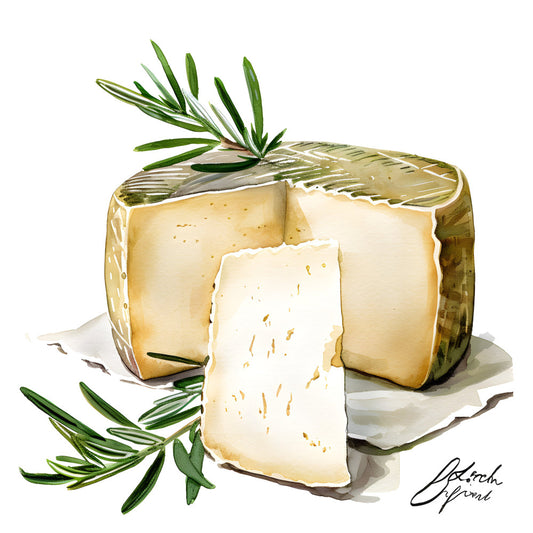 cheese, cream, ivory, pale yellow, sage green, rosemary green, food, gourmet, culinary, farmhouse, rustic, elegant, botanical, herbs, rosemary sprigs, artisanal, french, european, kitchen, culinary arts, food illustration, gouache painting, natural, organic, provence, culinary theme, gastronomic, specialty foods, delicatessen