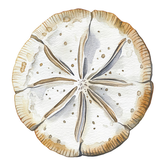 Watercolor Sea Shells Fabric Panel 15 featuring a detailed, soft-toned sand dollar design printed on premium quilting cotton.
