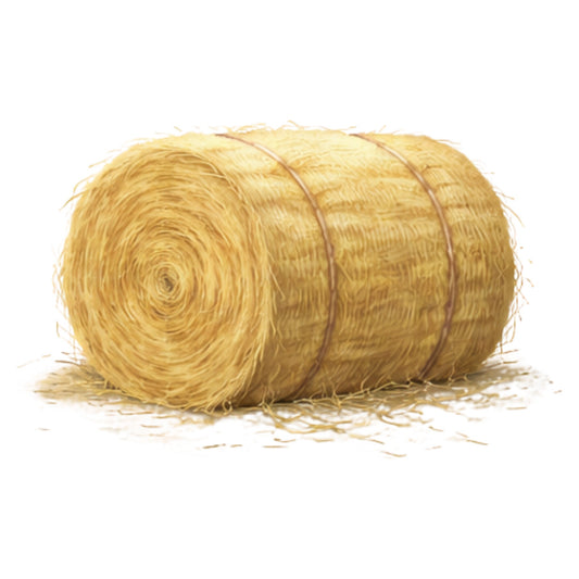 hay bale, straw, golden yellow, tan, beige, farm, farmhouse, rural, countryside, rustic, harvest, agriculture, barn, country, nature, autumn, fall, realistic, detailed, textured, animal feed, livestock, pastoral, traditional, western, americana