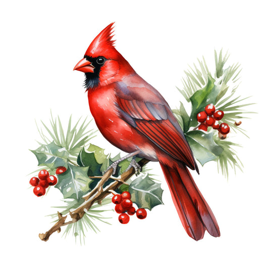 red cardinal, bright red, crimson, black markings, holly berries, evergreen branches, pine needles, winter foliage, realistic bird art, watercolor style, nature scene, christmas themed, holiday motif, fabric panel, quilting cotton, botanical elements, seasonal design, white background, detailed illustration, winter birds