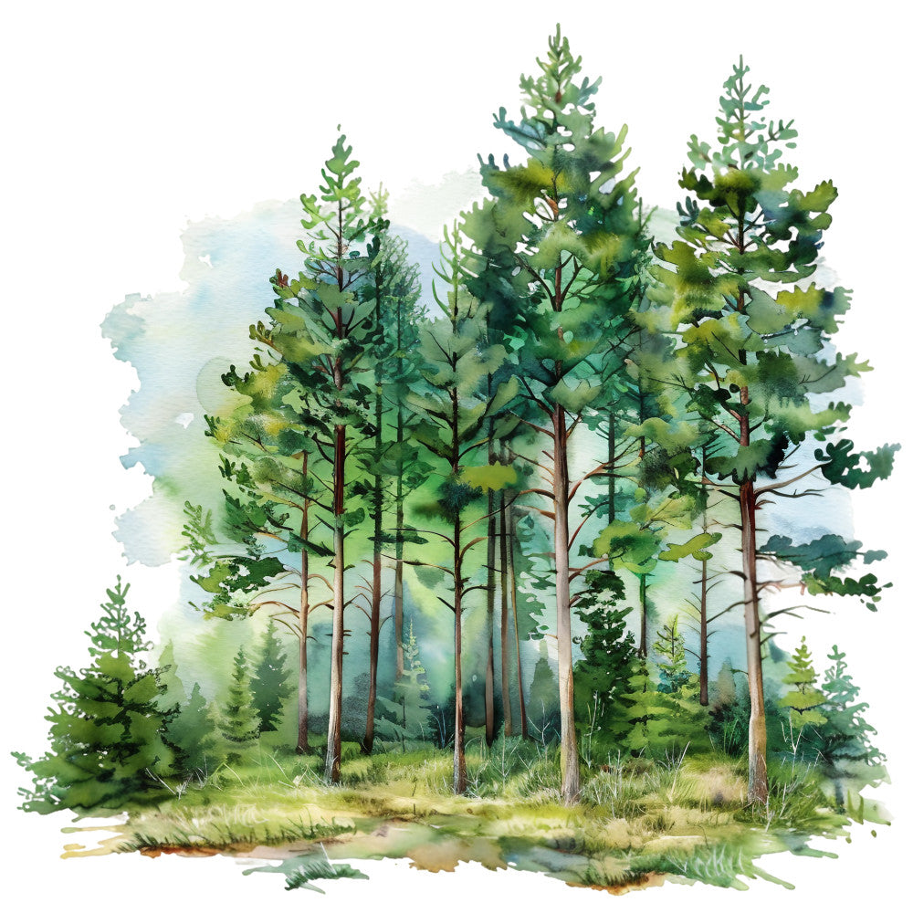 watercolor, forest scene, pine trees, evergreen trees, tall trees, green foliage, nature landscape, summer woods, soft blues, sage green, earth tones, brown tree trunks, misty background, woodland scene, organic painting, fabric panel, quilting cotton, peaceful atmosphere, botanical illustration, outdoor scenery