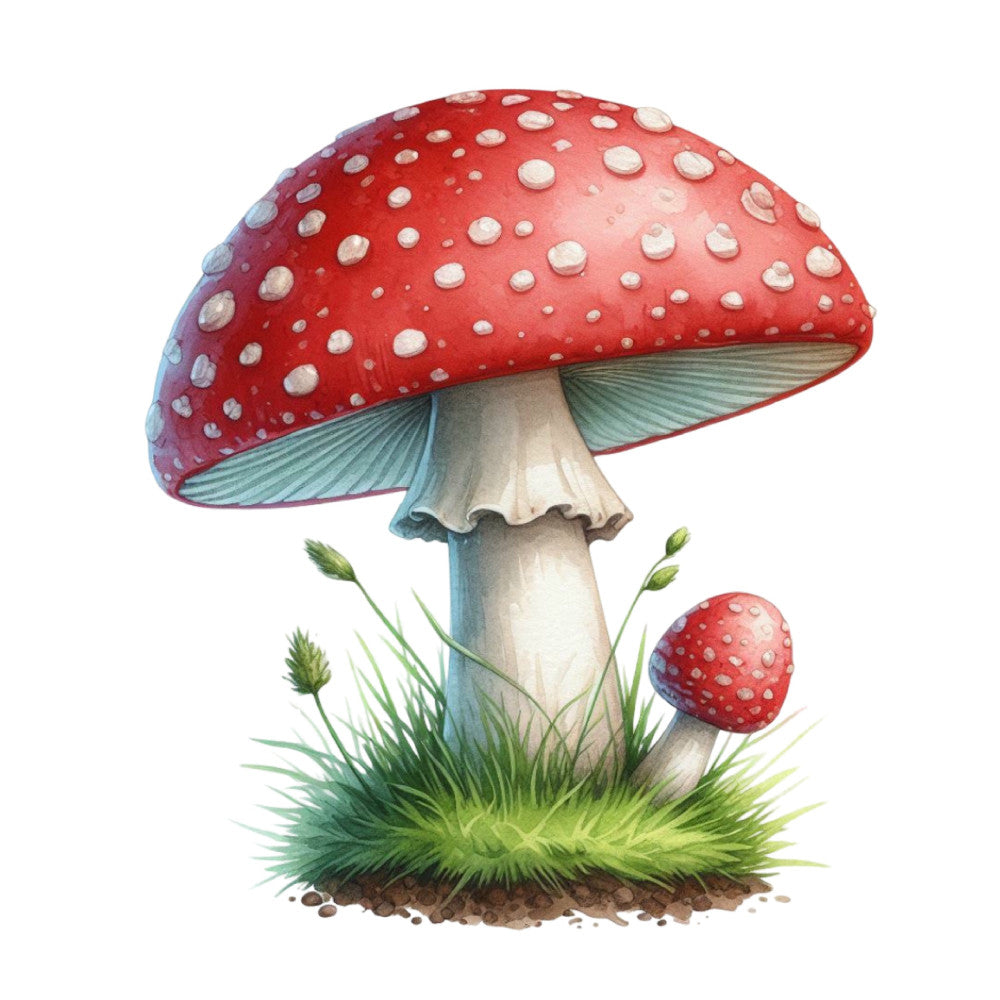 red mushroom, white spots, toadstool, forest green, cream white, nature, botanical, whimsical, cottage core, woodland, fairy tale, children's, grass, soil, spring, summer, cute, magical, storybook, illustrated, decorative panel, wall hanging, nursery, fantasy, enchanted forest, red and white, polka dot, mushrooms, plants, moss