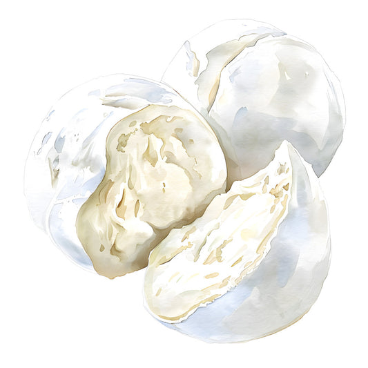 cream, white, ivory, pale yellow, soft beige, botanical, nature, organic, realistic, elegant, spring, summer, garlic, onion, vegetable, kitchen, farmhouse, rustic, watercolor, illustration, botanical print, garden, produce, culinary, food themed, neutral, natural, artistic, detailed, decorative