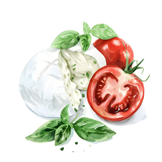 tomato red, fresh green, cream white, basil green, food illustration, botanical, produce, vegetables, kitchen, farmhouse, garden, fresh, organic, natural, rustic, watercolor style, culinary, recipe, farmer's market, spring, summer, cooking, mozzarella, caprese, herbs, produce motifs, realistic illustration, food art, cottage core