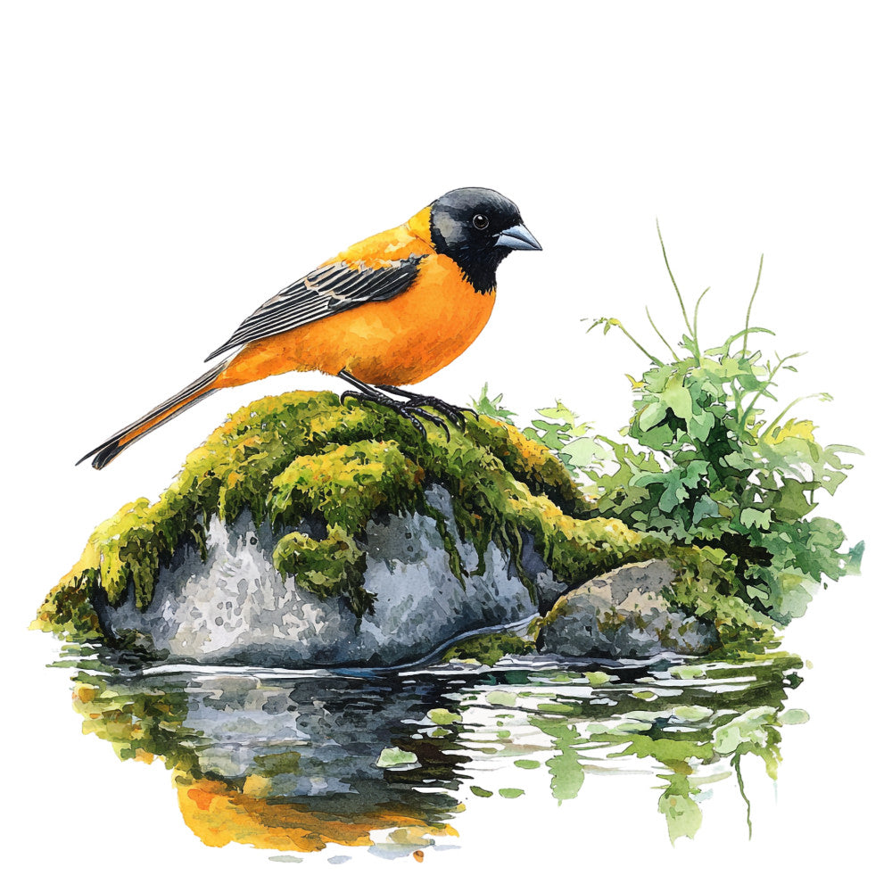 baltimore oriole, bird illustration, orange plumage, black head, watercolor style, moss covered rocks, green foliage, water reflection, nature scene, fabric panel, quilting cotton, botanical elements, wildlife art, spring theme, realistic bird, stone texture, aquatic setting, natural habitat, artistic rendering, songbird design