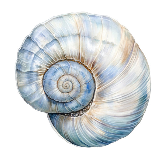 Watercolor Sea Shells Fabric Panel 12 featuring a detailed spiral seashell design in soft blue and beige tones on premium quilting cotton.
