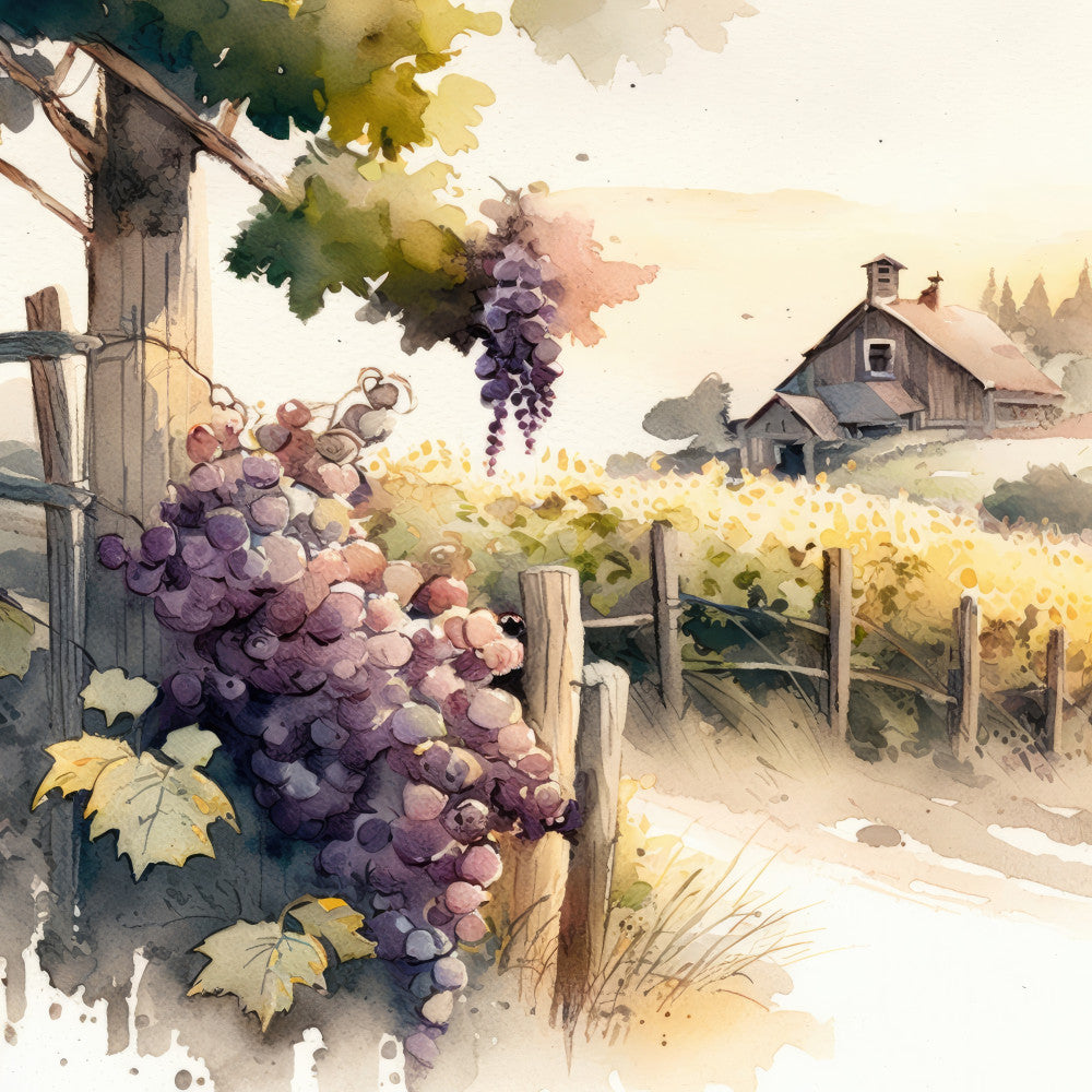 grape purple, dusty rose, sage green, golden yellow, cream, watercolor, vineyard, farmhouse, rustic, vintage, grapes, grapevine, barn, pastoral, countryside, harvest, autumn, fall, winery, botanical, nature scene, landscape, traditional, romantic, elegant, cottage core, wine country, agricultural, bucolic, sepia tones