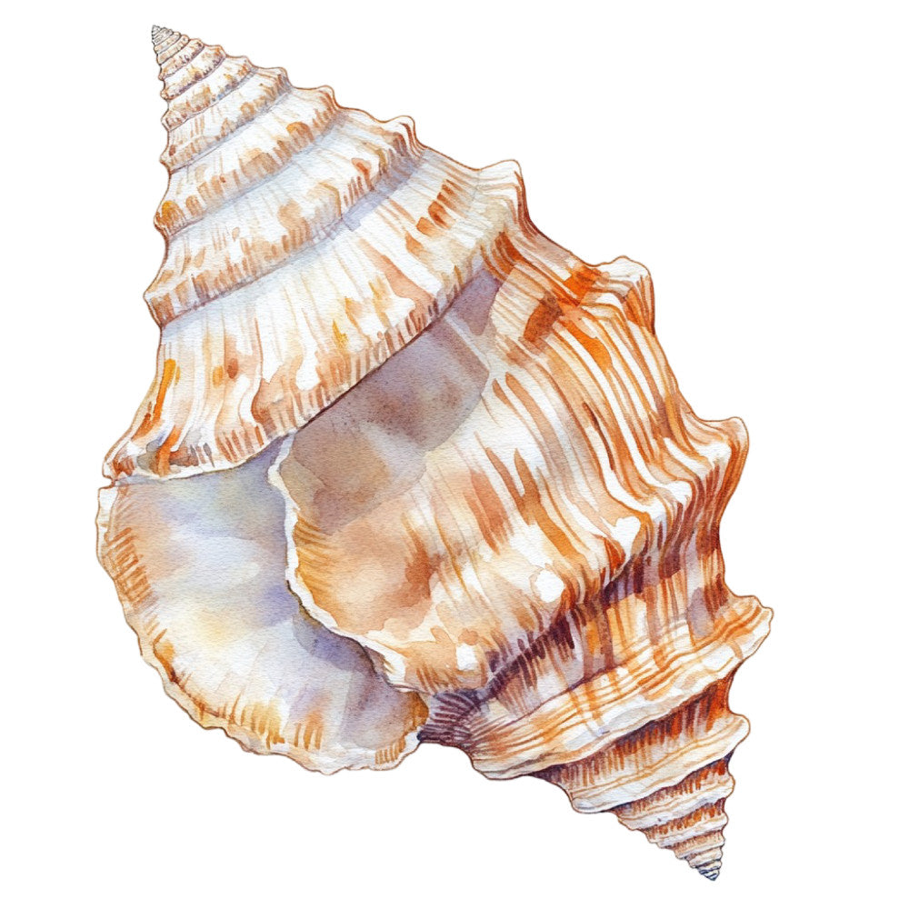 Watercolor Sea Shells Fabric Panel 27 featuring detailed orange and beige seashell design printed on premium quilting cotton.