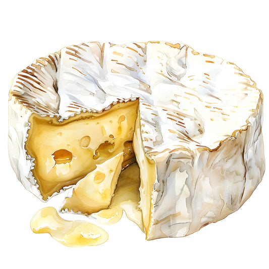 cheese, brie, camembert, food, culinary, cream, ivory, golden yellow, butter yellow, tan, beige, food illustration, realistic, gourmet, farmhouse, rustic, elegant, kitchen decor, food art, gouache painting, appetizer, dairy, french, sophisticated, culinary theme, food lover, kitchen fabric, table runner, wall hanging, artistic