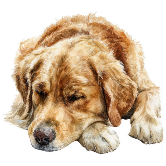 golden retriever, dog portrait, tan dog, cream colored dog, light brown dog, animal themed, dog lover, pet portrait, realistic dog, detailed dog illustration, nature themed, dog face, puppy fabric, animal motifs, dog breed, friendly dog, warm tones, golden brown, canine, dog art, pet themed, animal lovers, dog illustration, realistic animals, portrait style, traditional style, dog panel, pet lover gift, cozy themed, warm colors