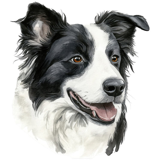 black and white, watercolor painting, border collie, dog portrait, amber eyes, pink tongue, furry texture, fabric panel, quilting cotton, pet lover, realistic artwork, animal design, medium fur coat, happy expression, detailed illustration, canine breed, soft watercolor style, pastoral theme, companion animal