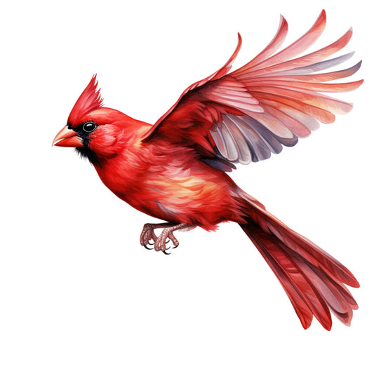 red cardinal, bird fabric, flying bird, crimson red, scarlet, burgundy, wing details, nature design, wildlife panel, cotton panel, quilting fabric, realistic art, detailed illustration, bird lover, ornithology theme, vibrant colors, feathered wings, songbird, backyard bird, fabric square