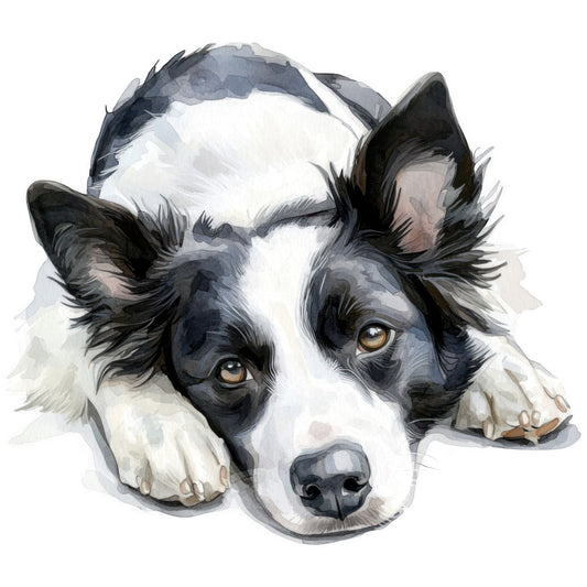 watercolor, border collie, dog portrait, black and white, brown eyes, fabric panel, quilting cotton, pet illustration, realistic artwork, animal design, canine motif, soft colors, gray tones, white markings, furry texture, lying pose, paws visible, gentle expression, painted style, craft fabric