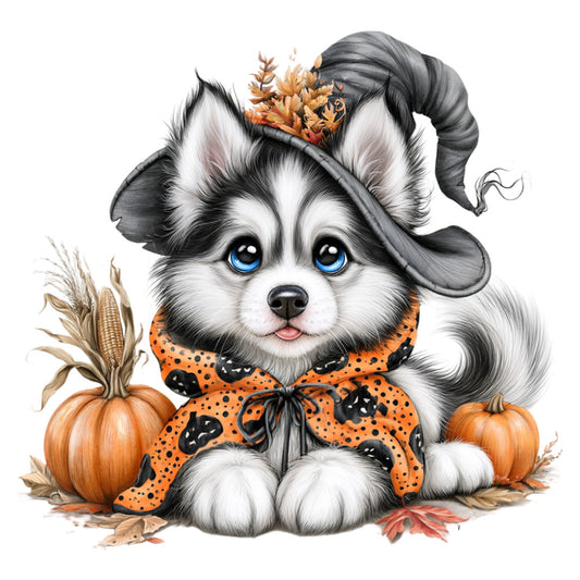 adorable dog, autumn, black and white, blue eyes, cute puppy, fall, halloween, harvest, orange, pumpkin, witchy, whimsical, festive, seasonal, spooky, cheerful, playful, striped hat, polka dots, corn, leaves, children's, novelty, animal, pet, costume, magical, sweet, charming