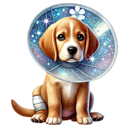 Veterinary Clinic Fabric Panel 21