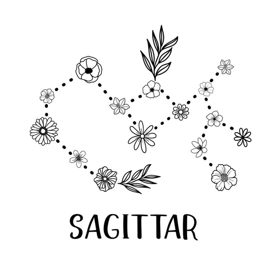 floral, black and white, line drawing, botanical, flowers, daisies, leaves, nature, minimalist, modern, line art, hand drawn, sketch style, spring, summer, simple design, delicate flowers, garden, wildflowers, zodiac sagittarius, astrology, constellation, black outline, white background, botanical illustration, decorative, whimsical, elegant