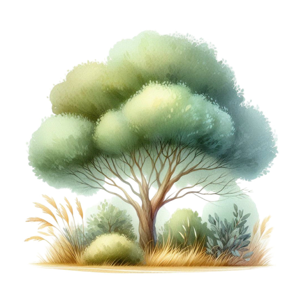 sage green, soft green, cream, tan, beige, light yellow, muted colors, watercolor, nature, landscape, tree, botanical, pastoral, rustic, natural, whimsical, peaceful, serene, calming, autumn, spring, garden, countryside, organic, earthy tones, illustrated, artistic, woodland, decorative, home decor