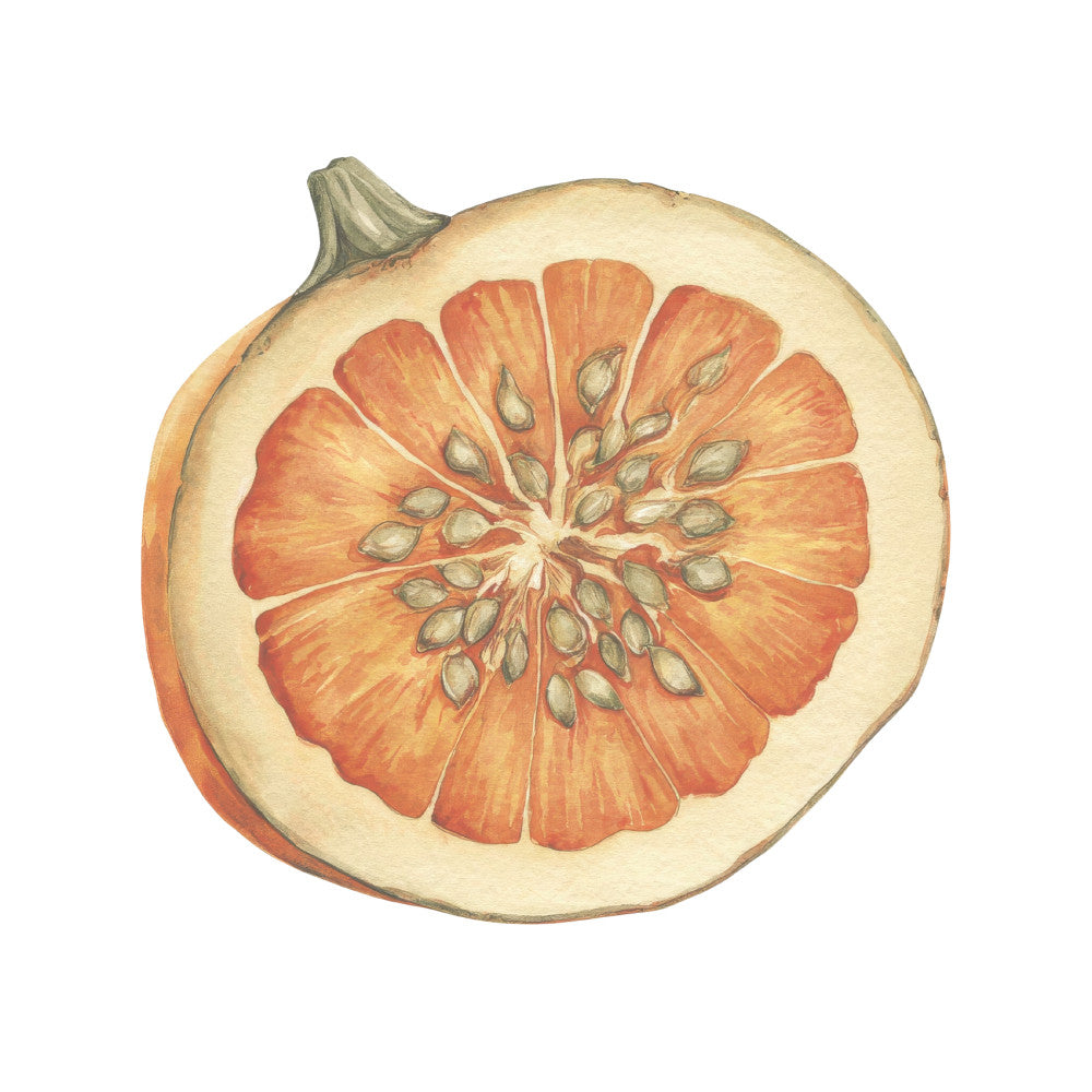 Cozy Autumn Cats Fabric Panel 44