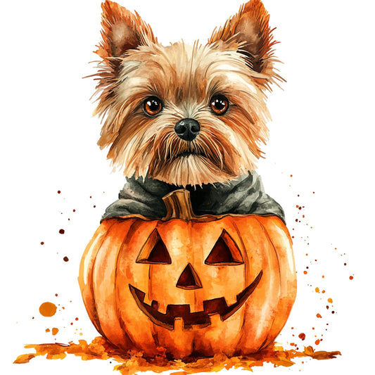 autumn, fall, halloween, pumpkin, jack-o-lantern, dog, terrier, shih tzu, orange, burnt orange, cream, tan, beige, charcoal gray, whimsical, cute, playful, festive, holiday, seasonal, animal, pet, spooky, cheerful, children's, kids, baby, scarf, costume, decorative