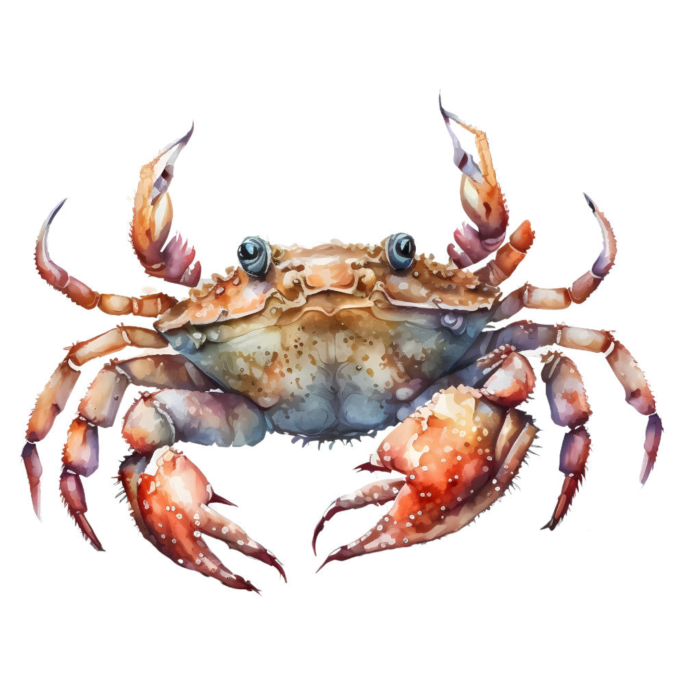 crab, crustacean, ocean, nautical, sea creature, marine life, coastal, aquatic, orange, rust, coral, terracotta, tan, beige, teal, blue-grey, purple, watercolor, illustrated, realistic, whimsical, beach theme, seaside, summer, wildlife, nature, animal print, detailed, decorative, home décor