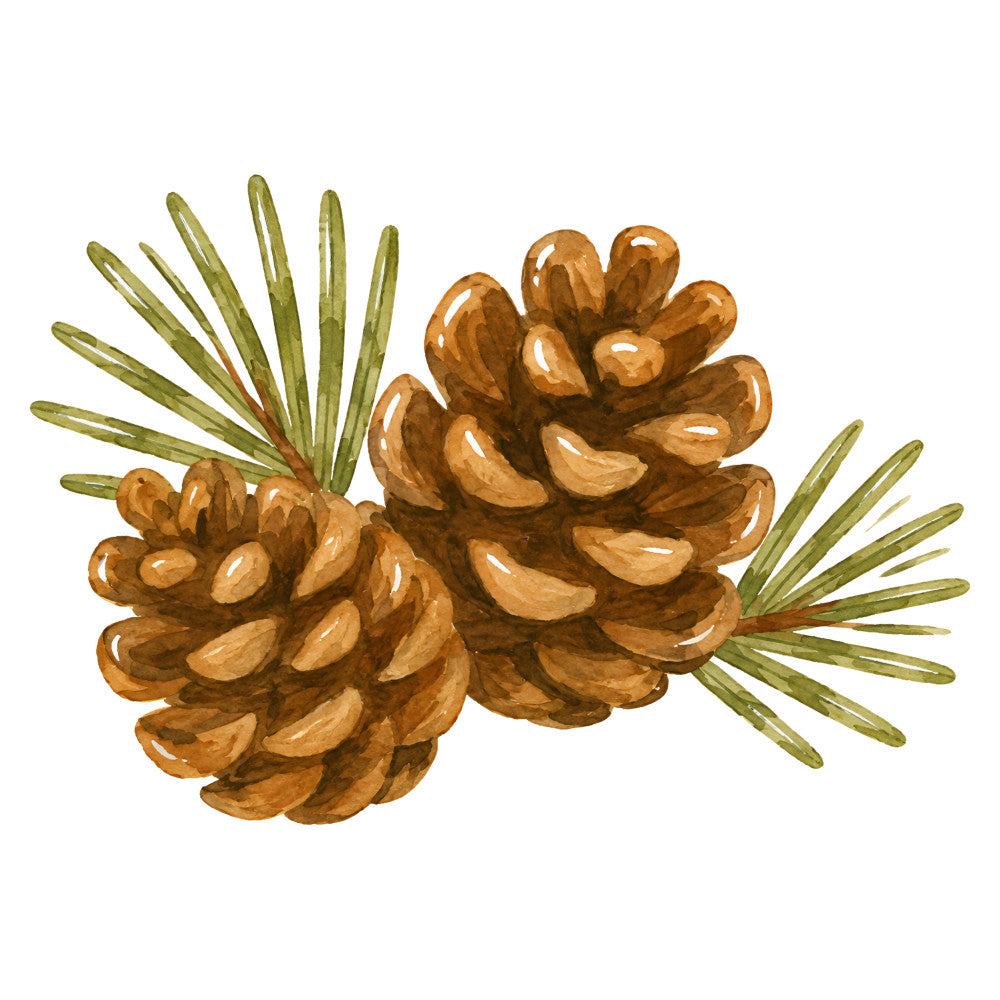 pine cones, evergreen, woodland, nature, rustic, autumn, fall, winter, holiday, christmas, forest green, golden brown, tan, natural, botanical, seasonal, decorative, traditional, timeless, conifer, needle leaves, earth tones, warm colors, cozy, cottage core, farmhouse, harvest, festive, home decor