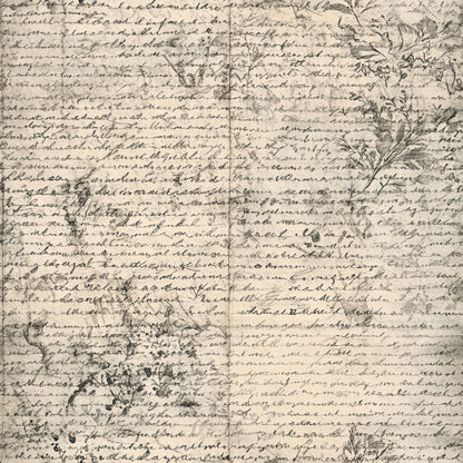 Gilded Forgotten Correspondence Pattern 11 Minky Fabric