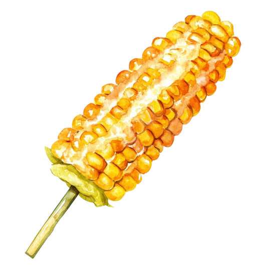 corn, maize, golden yellow, butter yellow, orange yellow, harvest, autumn, fall, summer, farm, farmhouse, vegetables, produce, garden, nature, realistic, botanical, food, kitchen, rustic, country, wholesome, sweet corn, corn cob, detailed illustration, naturalistic, warm tones, harvest theme, seasonal